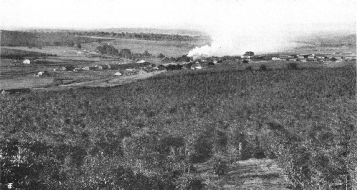 General View of Fazenda Dumont, Ribeirao Preto, São Paulo, Brazil