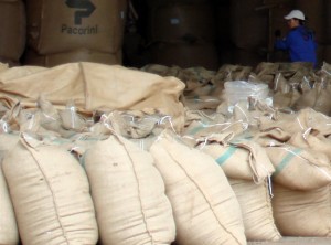 Xuất khẩu cà phê: Điều tiết cung, giữ ưu thế giá