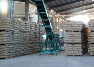 Xuất khẩu cà phê Việt Nam trong quý I giảm cả 2 chỉ số